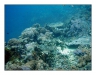 philiphines_011