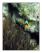 2006_egypt_08