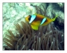 2006_egypt_09