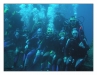 2006_egypt_12