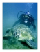 2006_egypt_19
