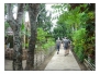 2006-04_vylety