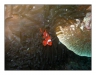 2006_Bunaken_klauni_028