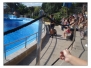 2007-4_marineland