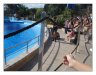 2007-4_marineland