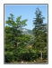 039_Wildalpen