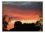 2010-0724_horka