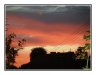 2010-0724_horka