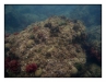 2011-06-03-011_Pa
