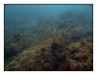 2011-06-03-012_Pa