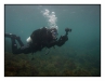 2011-06-03-017_Pa