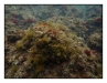 2011-06-03-021_Pa