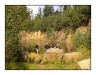 0814_Lipova_01