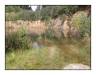 0814_Lipova_02