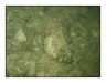 1028_Gosau_27