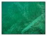 1029_2_Attersee_22