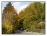 1029_2_Attersee_29