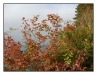 1029_2_Attersee_30