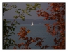 1029_2_Attersee_31