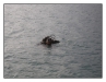 1029_2_Attersee_33