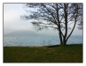 1029_2_Attersee_44