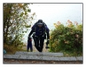 1029_2_Attersee_64