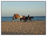 1117_Egypt_057