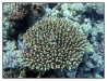 1117_Egypt_083