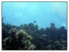 1117_Egypt_084