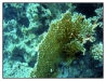 1117_Egypt_086