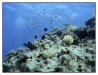 1117_Egypt_087