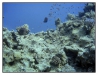 1117_Egypt_088