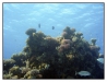 1117_Egypt_094