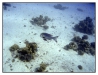 1117_Egypt_096