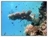 1117_Egypt_097