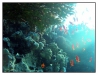 1117_Egypt_098