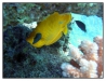 1117_Egypt_099