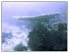 1117_Egypt_115
