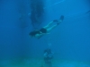 P5222930