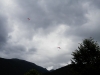 2013-07-05-P705158411