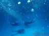 IMG-20180725-WA0013