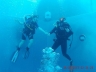IMG-20180725-WA0020