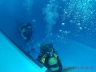 IMG-20180725-WA0027