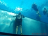 IMG-20180725-WA0040